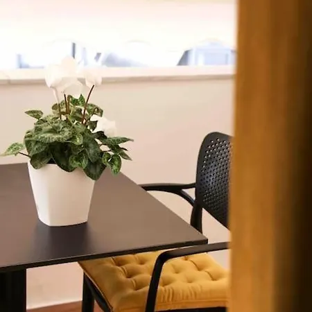 Center Thebeeapartment, Myslym Shyri